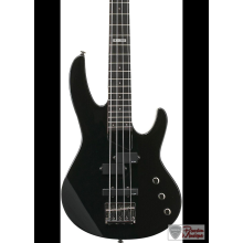 ESP Ltd B-50