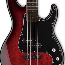 ESP Ltd AP-204 Burgundy Burst