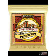 Ernie Ball Earthwood 2002 Medium 13-56