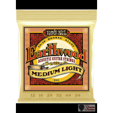 Ernie Ball Earthwood 2003 Medium Light 12-54