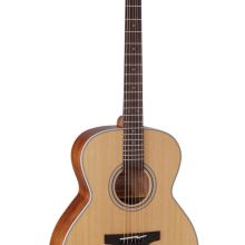 Takamine G Series GN20 Naturelle