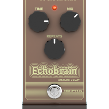 TC Electronic EchoBrain Delay Analog