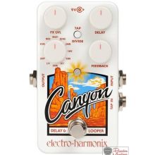 Electro-Harmonix Canyon Delay/Looper