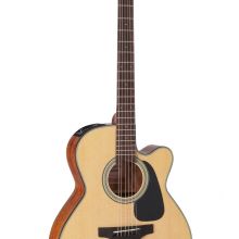 Takamine G Series GN10CE-NS