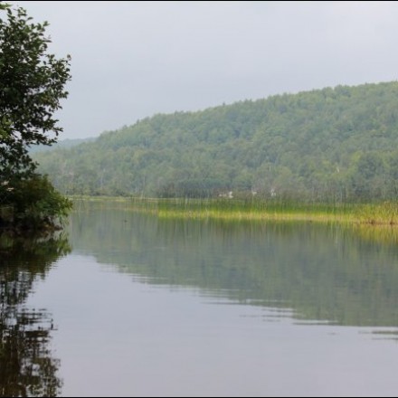 BABILLARD MONTRÉAL - Manon (L\'Association du Lac Rond)