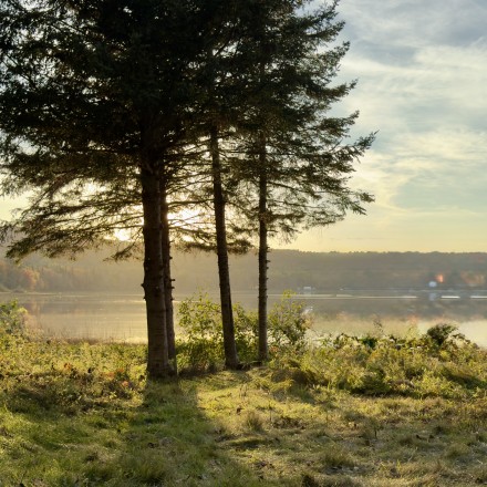 BABILLARD MONTR&Eacute;AL - Dany